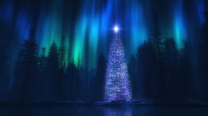 Christmas tree under aurora borealis in forest