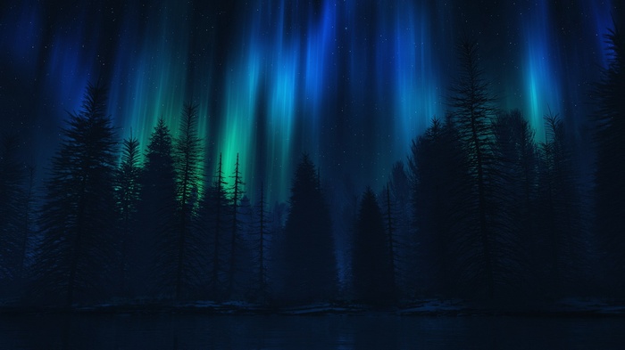 Aurora Borealis over a dark forest