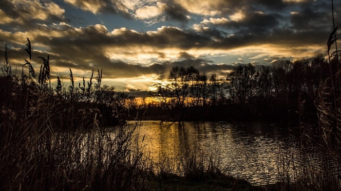Sunset over a lake with reeds and trees