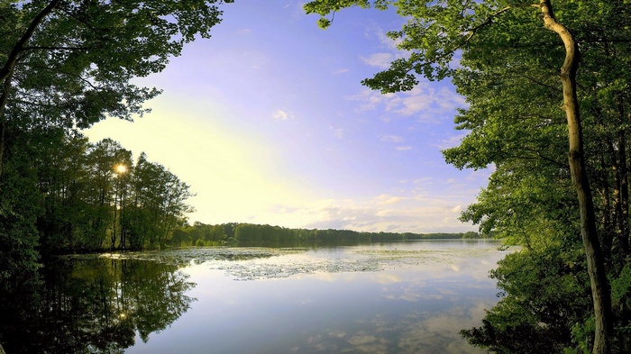 Lake surrounded by trees at sunset