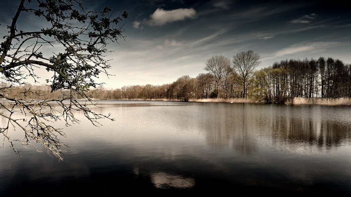 Bare tree branches over a calm lake with a forest in the background