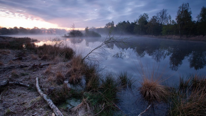 Misty lake at sunrise with trees and reeds