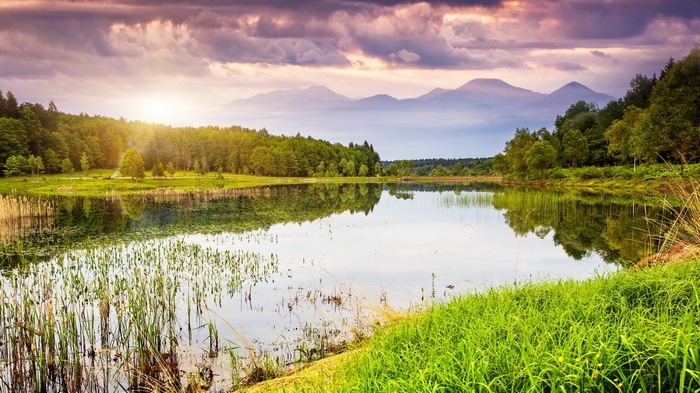 Lake and forest with mountains in the distance