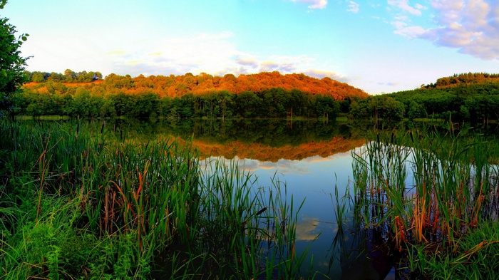 Lake reflection of trees and sky at sunset