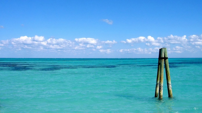 Wooden posts in turquoise ocean under blue sky
