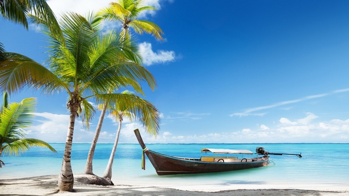 Longtail boat on a tropical beach with palm trees