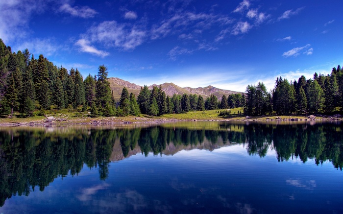 Lake with pine forest and mountains reflected in water