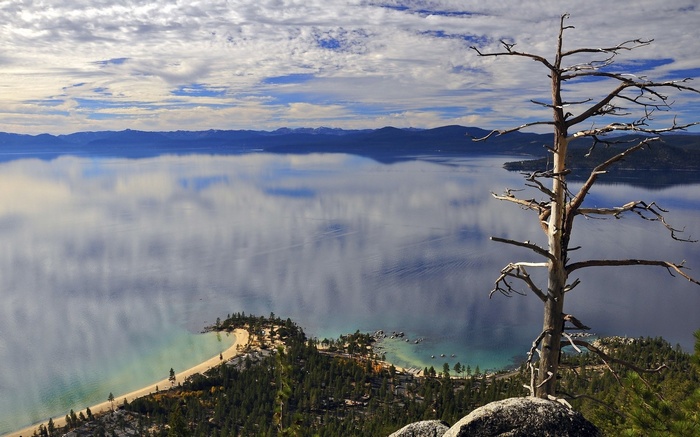 Dead tree overlooking a calm lake and mountains