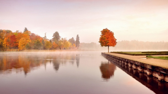 Autumn trees reflected in a misty lake with a pier