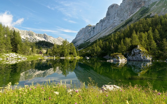 Mountain lake with reflection and wildflowers
