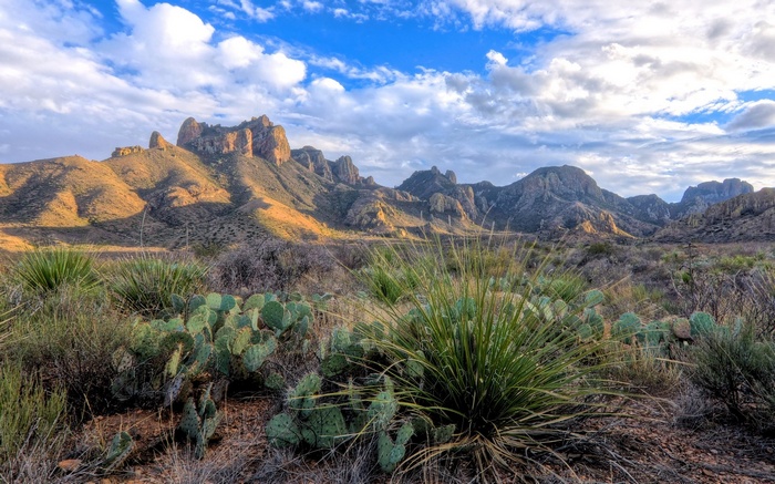 Desert mountains with cacti and blue sky