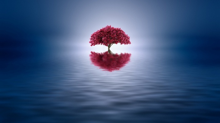 Minimalist tree reflection on water