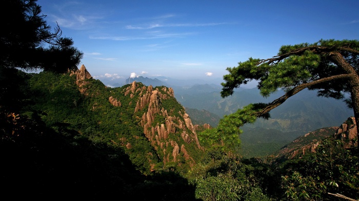 Mountain range with pine trees and blue sky