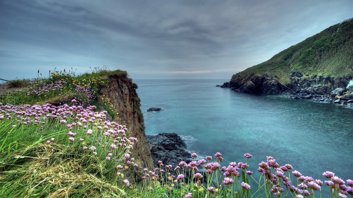 Coastal cliff with pink flowers and ocean
