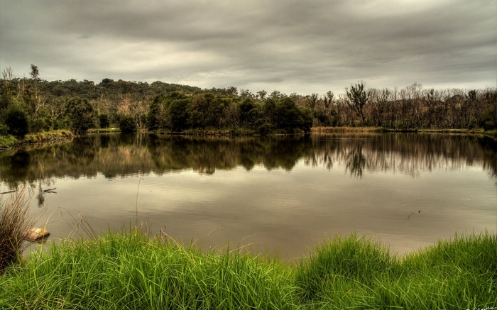 Lake with trees and cloudy sky reflection