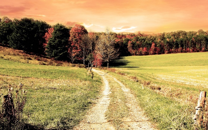 Dirt road through autumn forest and fields