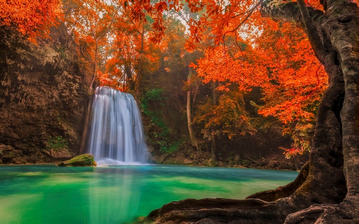 Waterfall in a forest with autumn foliage