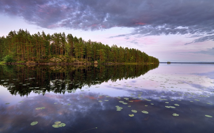 Pine forest reflected in a calm lake at sunset