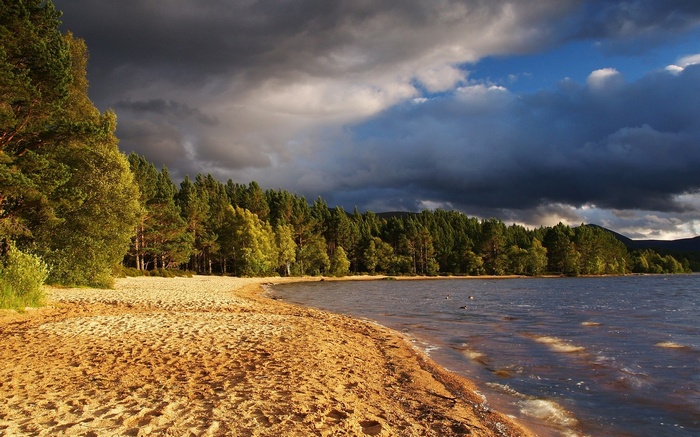Sandy beach and forest by a lake under stormy clouds
