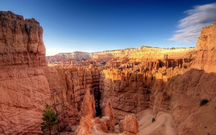 Bryce Canyon National Park Hoodoos at Sunrise