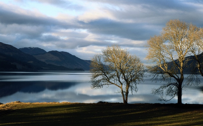 Bare trees by a lake with mountains