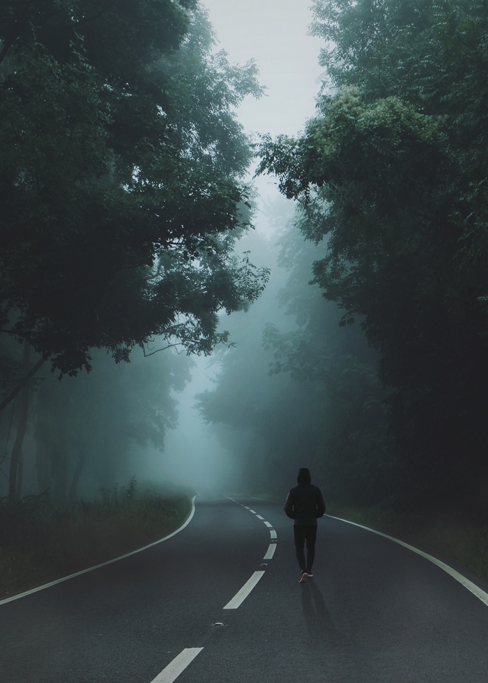 Person walking on a foggy road through a forest