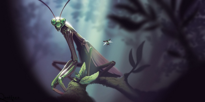Praying Mantis, insect, Lorenzo Lanfranconi, macro, leaves, painting, nature
