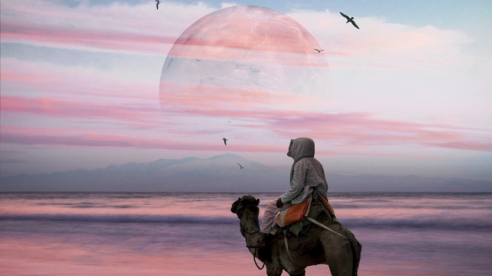 Camel rider in front of a large moon and ocean