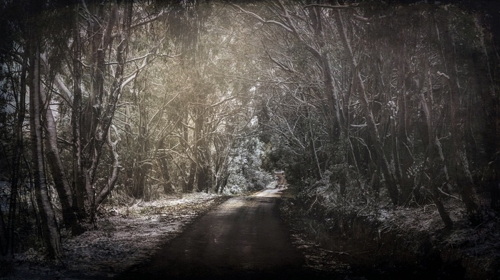 A dark, snowy forest road in winter