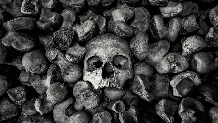 Monochrome image of a skull surrounded by bones