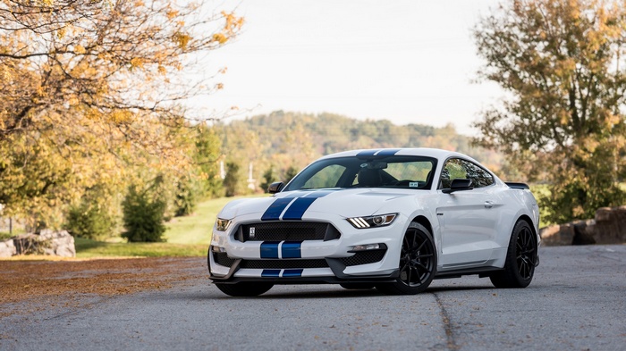 White Ford Mustang Shelby GT350 with Blue Stripes
