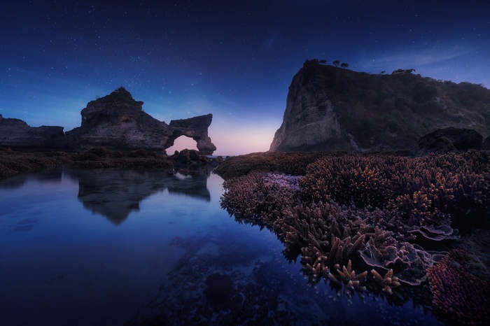 Rocky coast with arch at twilight with stars