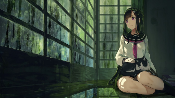 Anime girl with cat by window
