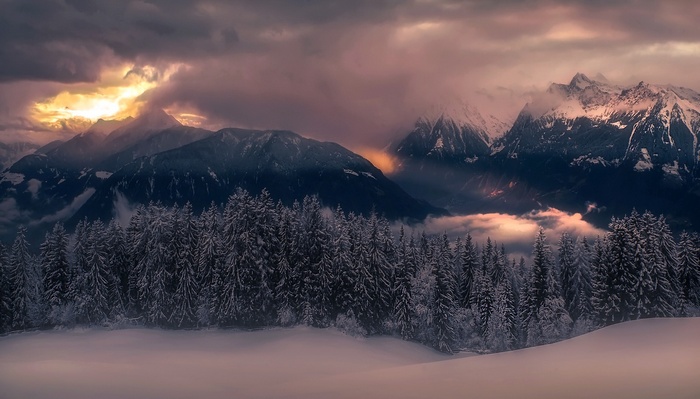 Snowy mountains and forest at sunset