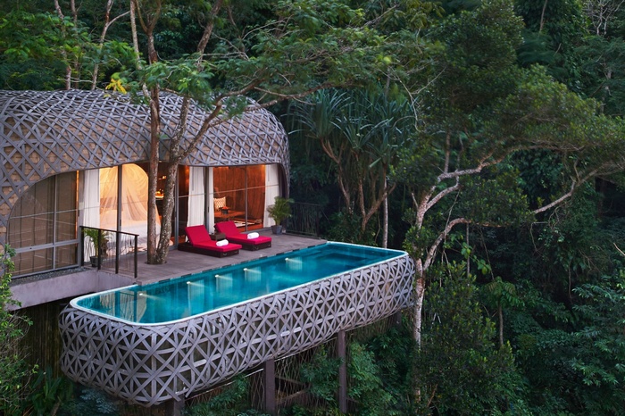 Modern jungle resort with infinity pool and lounge chairs
