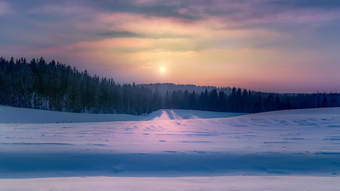 Winter landscape with snow and forest at sunset