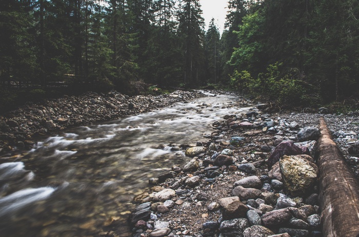 River flowing through a rocky forest in Poland
