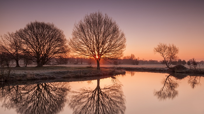 Sunrise over water with trees and reflections