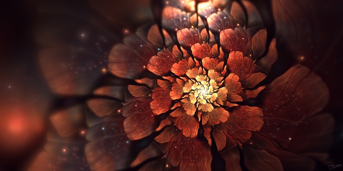 Abstract fractal flower with glowing center