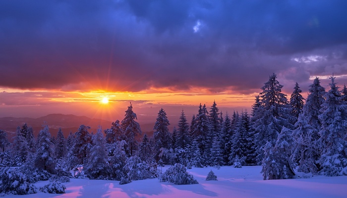 Winter sunset over snow-covered pine forest landscape