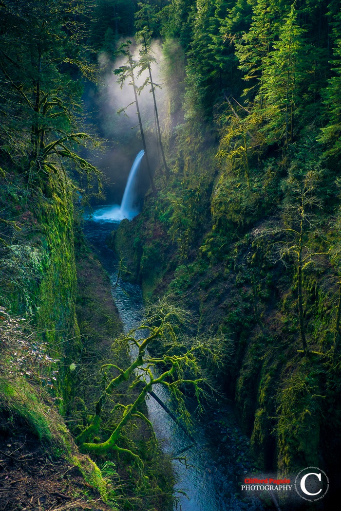 Waterfall in a mossy forest valley in Oregon