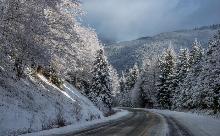 Winding road through a snow-covered forest in winter