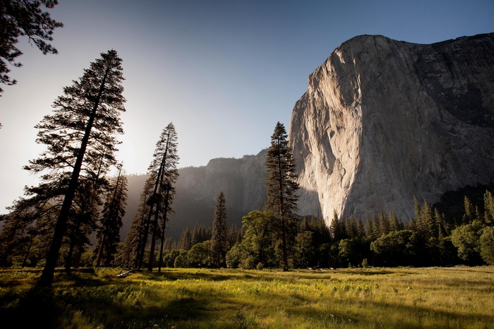 El Capitan, Yosemite National Park, Trees, Meadow, Mountains