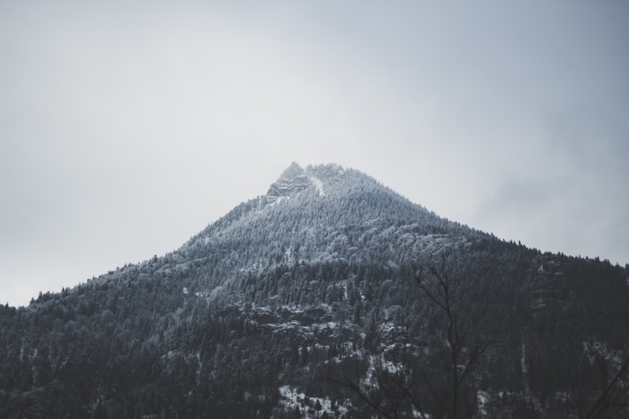 Snow-covered mountain peak with forest