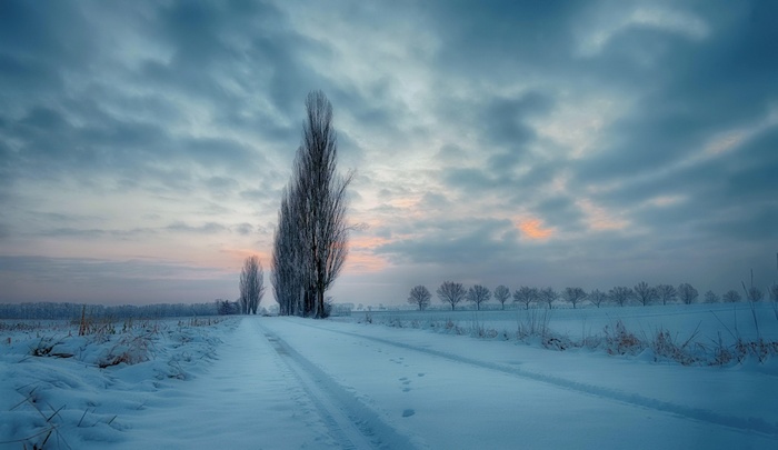 Winter landscape with trees and a snowy road