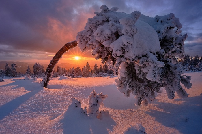 Winter sunset over snowy landscape in Germany