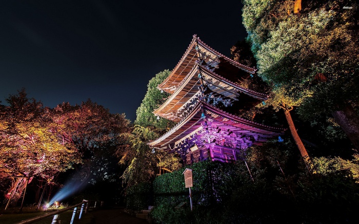 Japanese temple illuminated at night in Tokyo