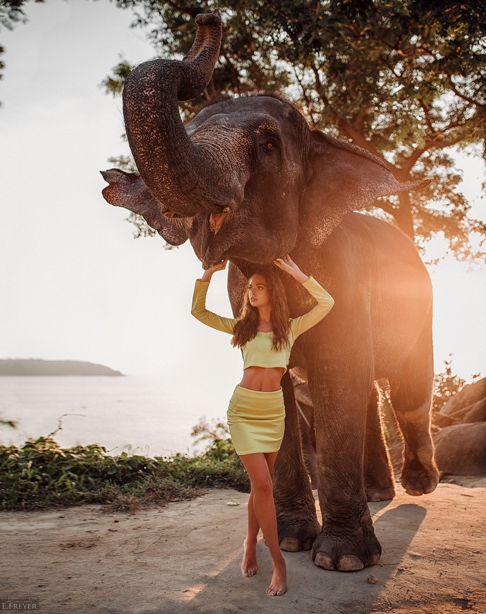 Woman in yellow clothing with an elephant