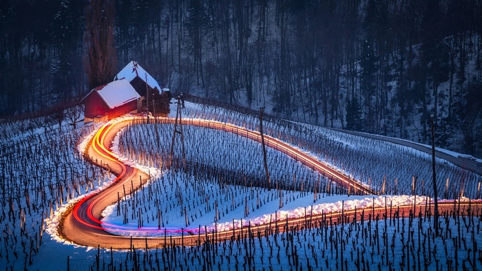Winding road with light trails in a snowy vineyard in Slovenia