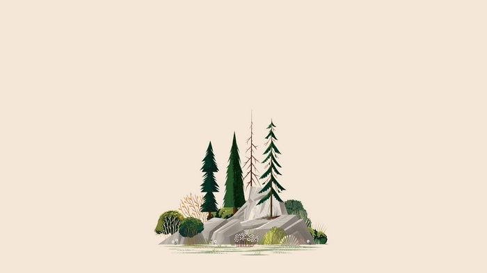 Illustration of trees and rocks in a forest